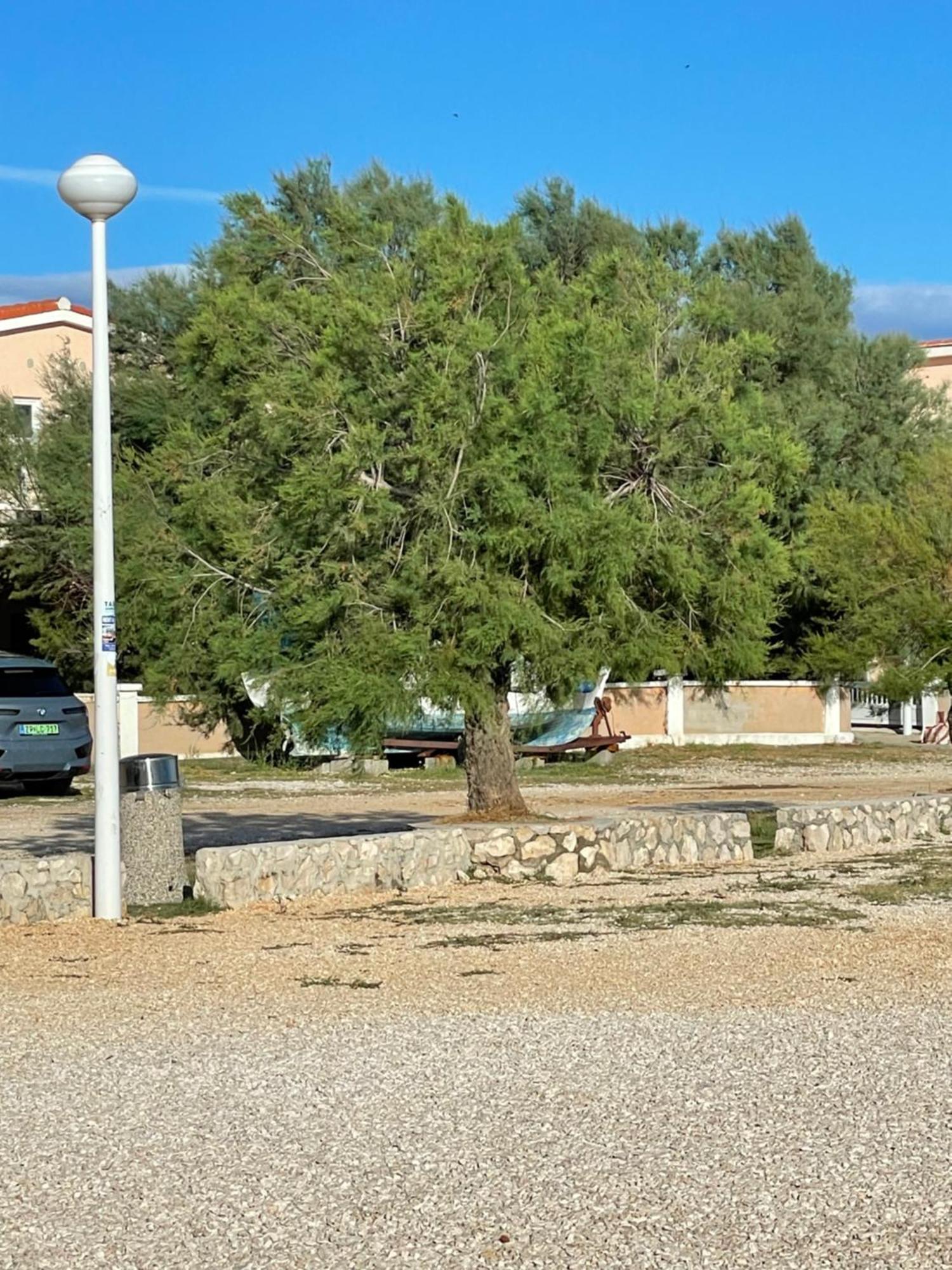 Apartman Boja Vir Exterior photo